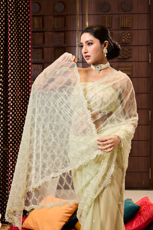 Light Green Jaal Embroiderd Net Saree