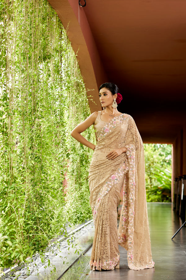 Beige Net Designer Saree