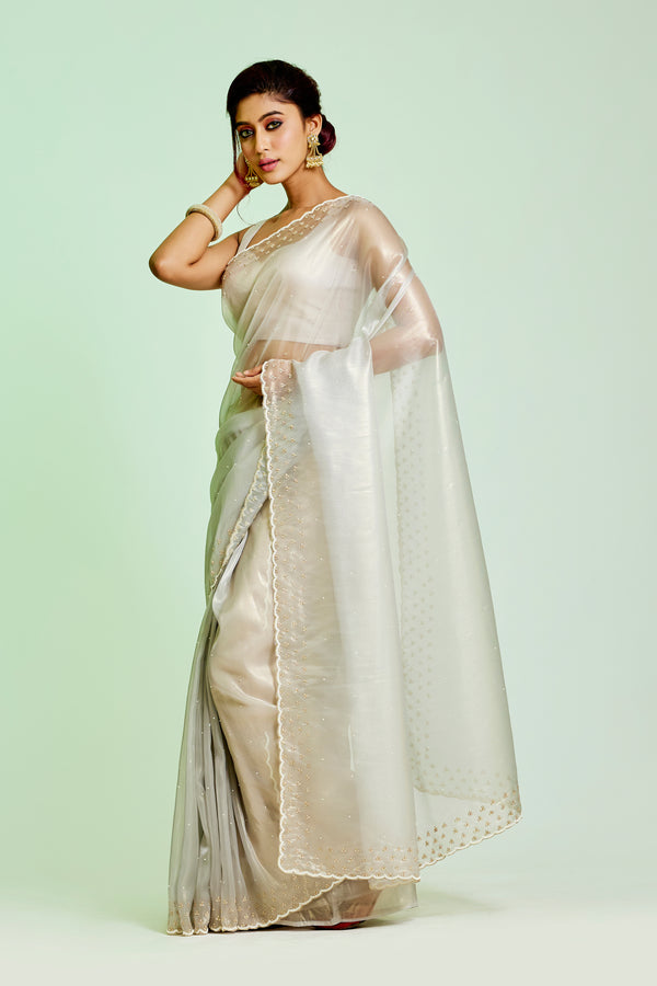 Light Blue Tissue Organza Saree