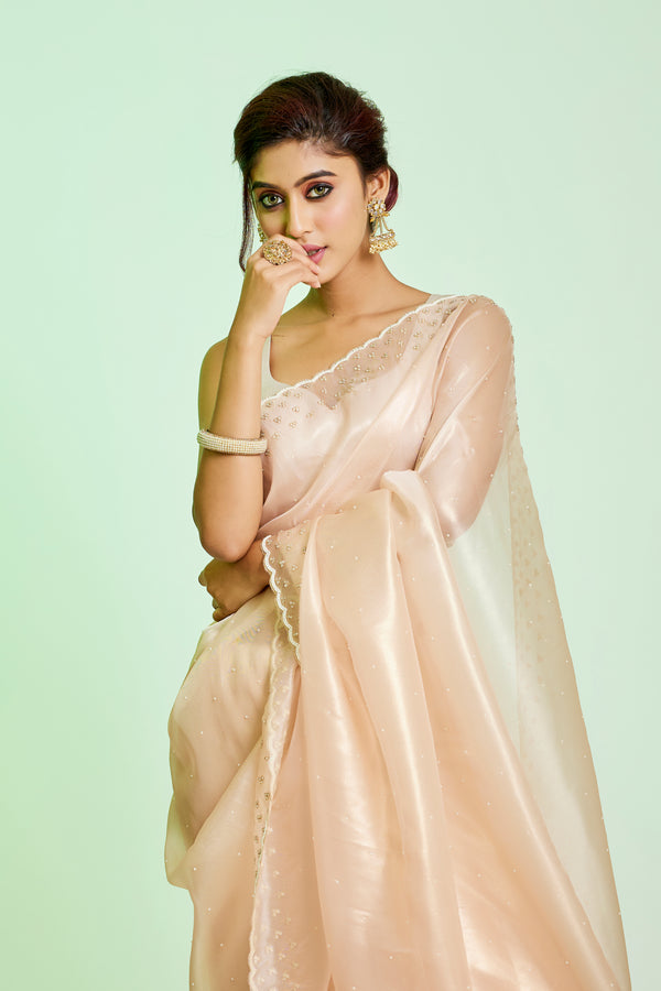 Light Peach Tissue Organza Saree